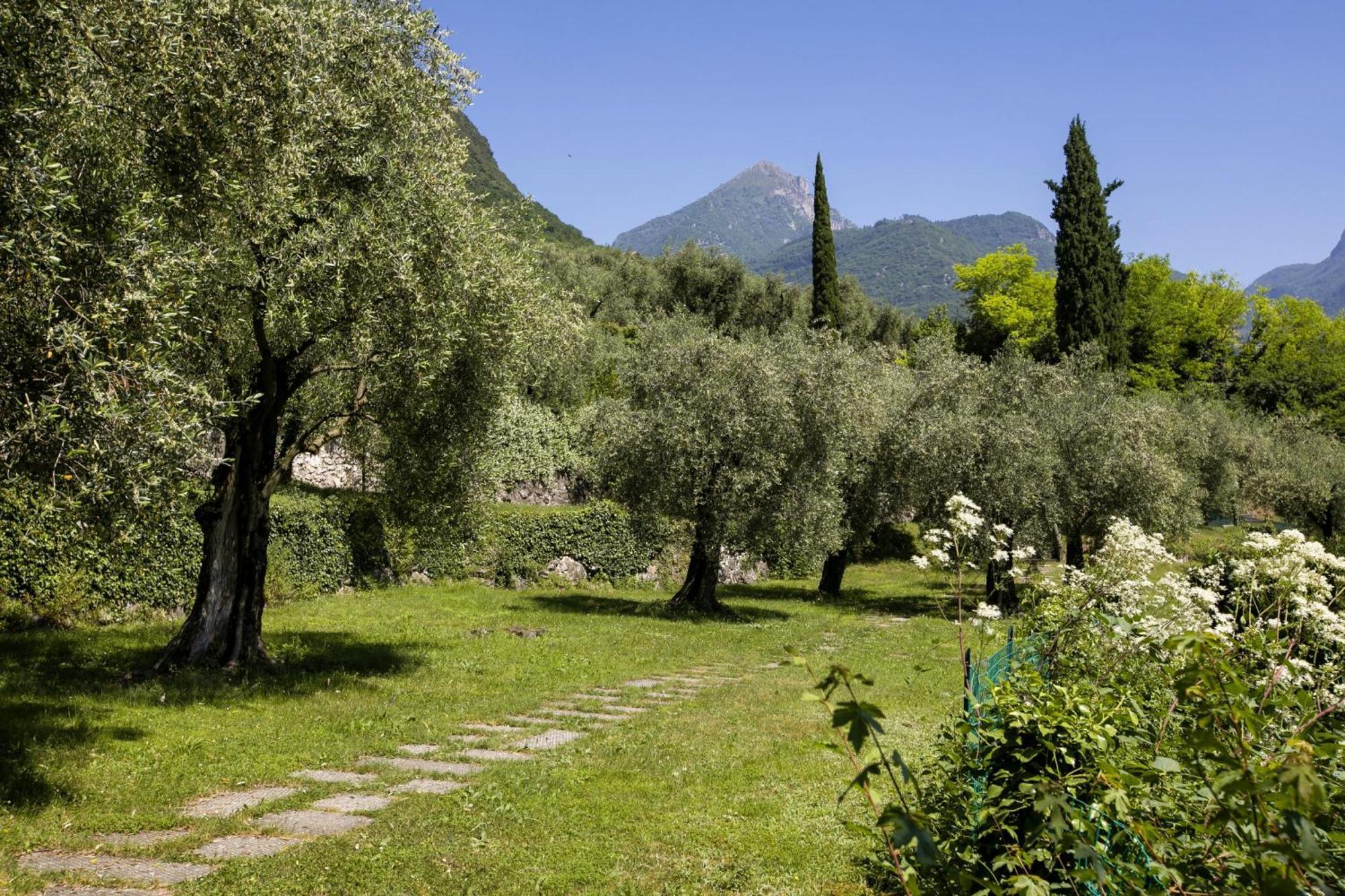 Lake View Dom-Us Apartment - Happy Rentals Riva del Garda Dış mekan fotoğraf
